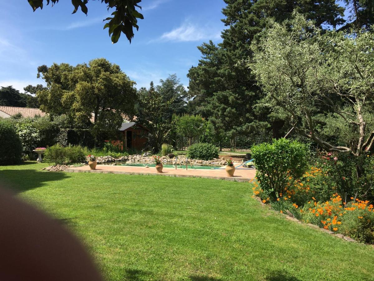Mas Pierre Bed & Breakfast Maureillas Exterior photo